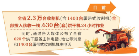 点击放大