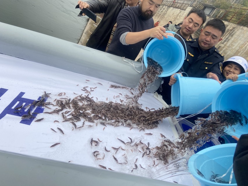 放流活动现场。宜宾市广播电视台供图