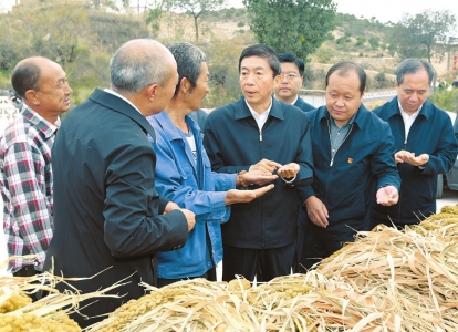 点击放大