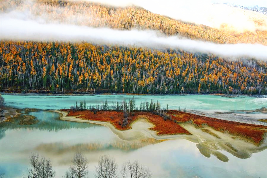 新疆阿勒泰喀纳斯卧龙湾（图片来源：视觉中国）