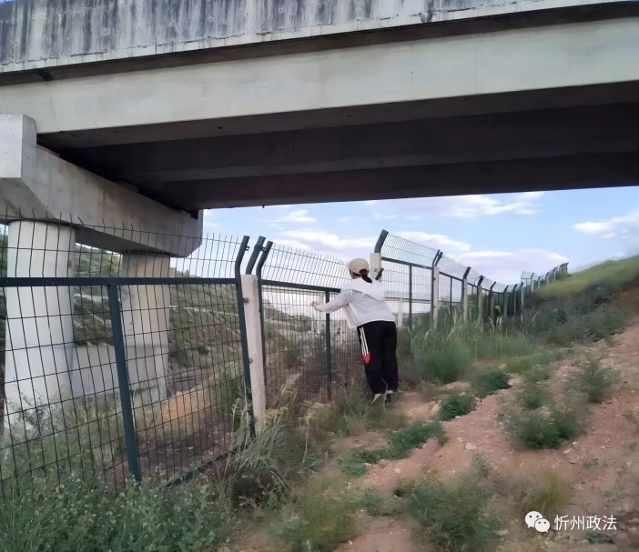 1690422950111874.jpg 4.jpg