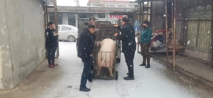 1677722728119890.jpg 1.jpg