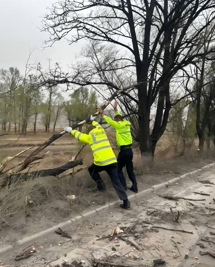 1681178480624606.jpg 20.jpg