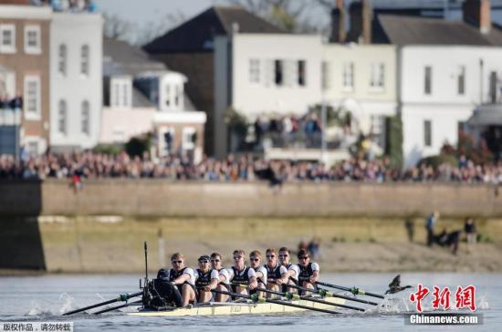 英名校联盟23所大学曝学术造假丑闻 涉抄袭捏造