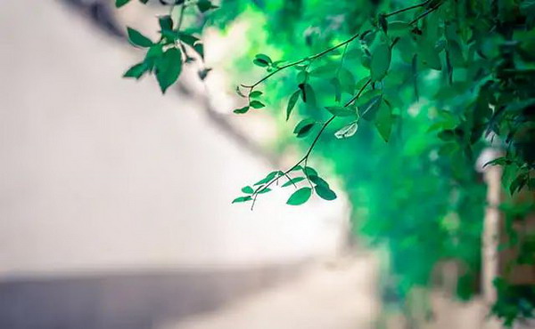 1612746699422916.jpg 微信图片_20210208091534.jpg