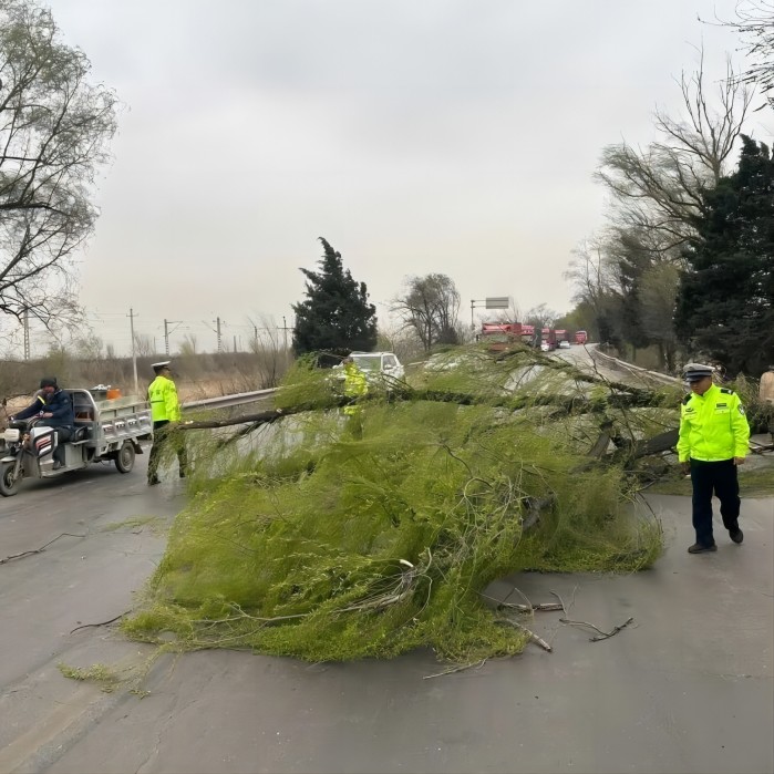 1681177407407252.jpg 14.jpg