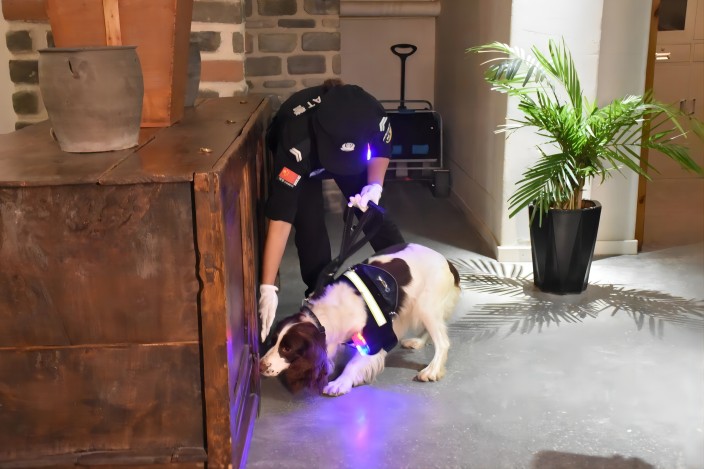 1694400384195192.jpg 16.jpg