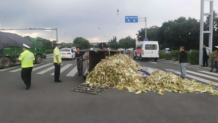 1695611293965590.jpg 4.jpg