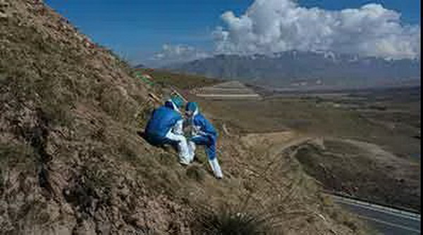 1606531231105488.jpg f2797ba3647e4a62a266cbd7153dc75e.jpg