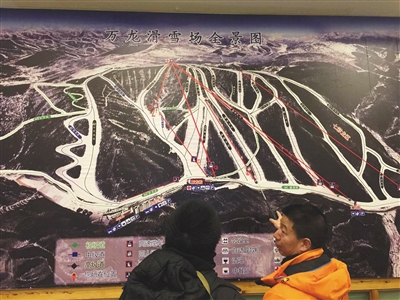 女博士滑雪时撞树身亡 专家:滑雪达中级属极限运动