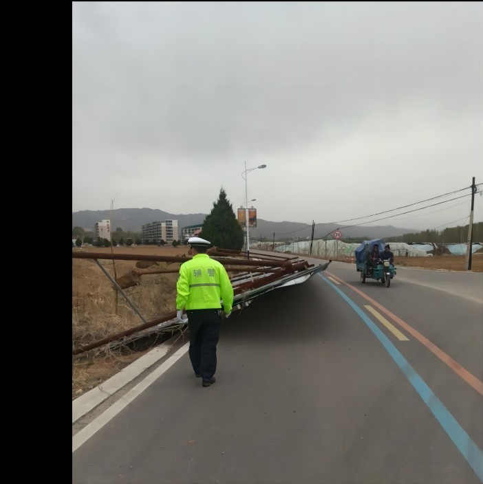 1681177164130485.jpg 6.jpg