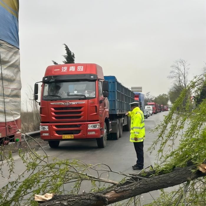 1681177918111551.jpg 15.jpg