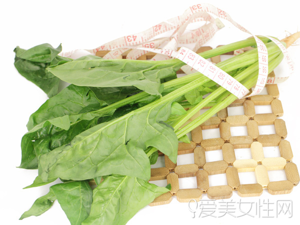  时令野菜| 美味健康兼顾的春之飨宴 