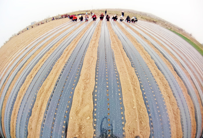 山西新绛:“姑射山下”田园春播“丰”景如画-45349.jpg 山西新绛:“姑射山下”田园春播“丰”景如画-45349.jpg