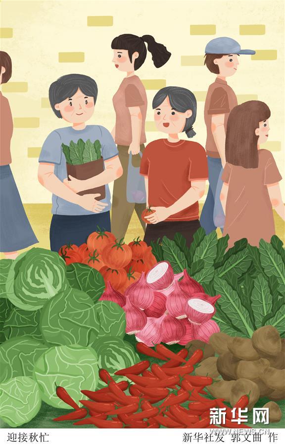 （图表·插画）［二十四节气·立秋］迎接秋忙