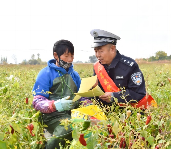 1698804508342619.jpg 1.jpg