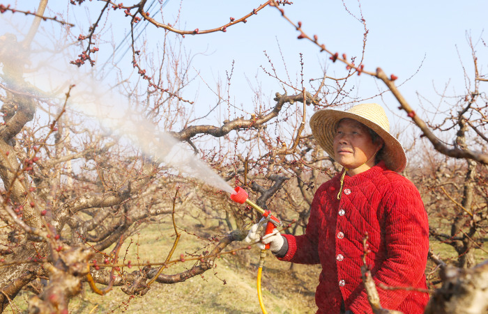 夏县:春日田园农事忙-45154.jpg 夏县:春日田园农事忙-45154.jpg
