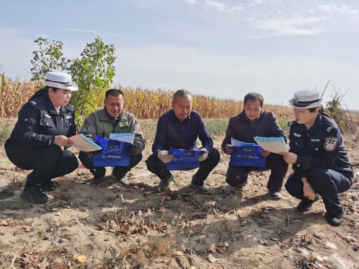 1698804788732271.jpg 25.jpg