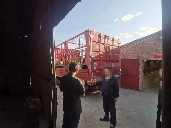 1654651182225486.jpg 1.jpg