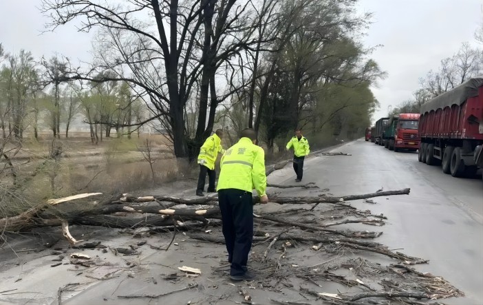 1681178117380400.jpg 18.jpg