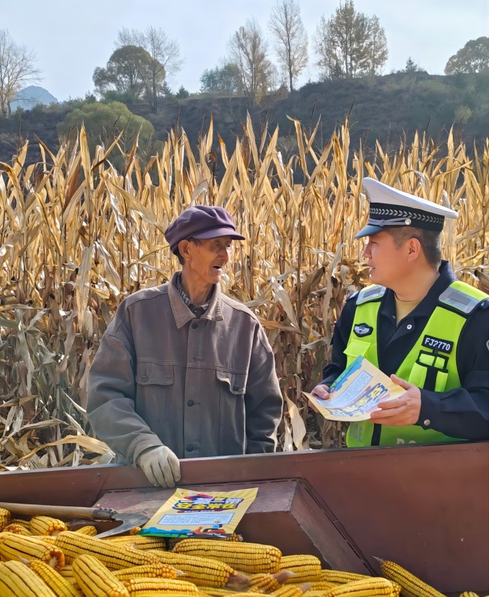 1698804667595559.jpg 14.jpg