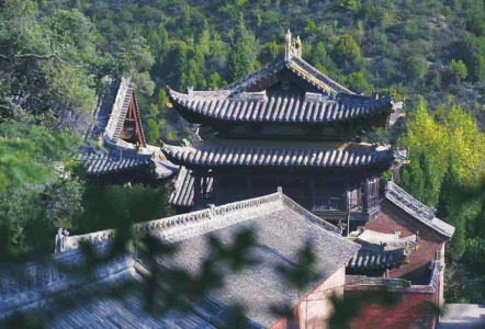 点击放大