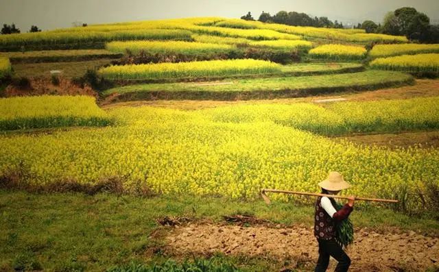 1687678830597324.jpg 1.jpg