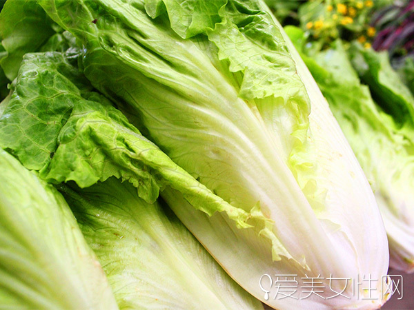  时令野菜| 美味健康兼顾的春之飨宴 