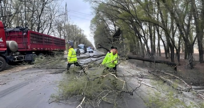 1681178602447143.jpg 22.jpg