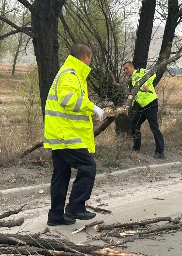 1681178141393310.jpg 19.jpg