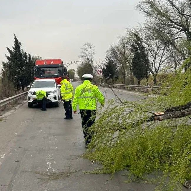 1681178043738339.jpg 16.jpg