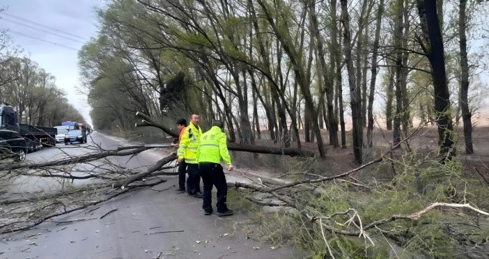 1681178616111297.jpg 23.jpg