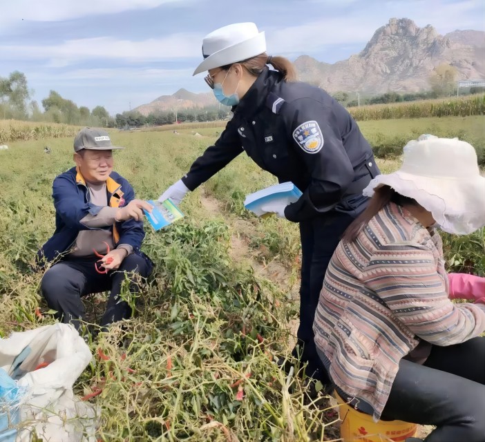 1698804581857322.jpg 7.jpg