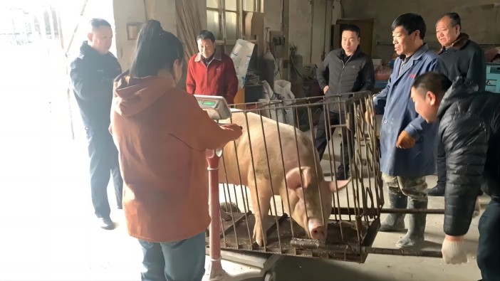 1677722742404455.jpg 2.jpg